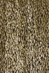 RC Leopard Lamé Shirt LIGHT GOLD WKT704-FT060