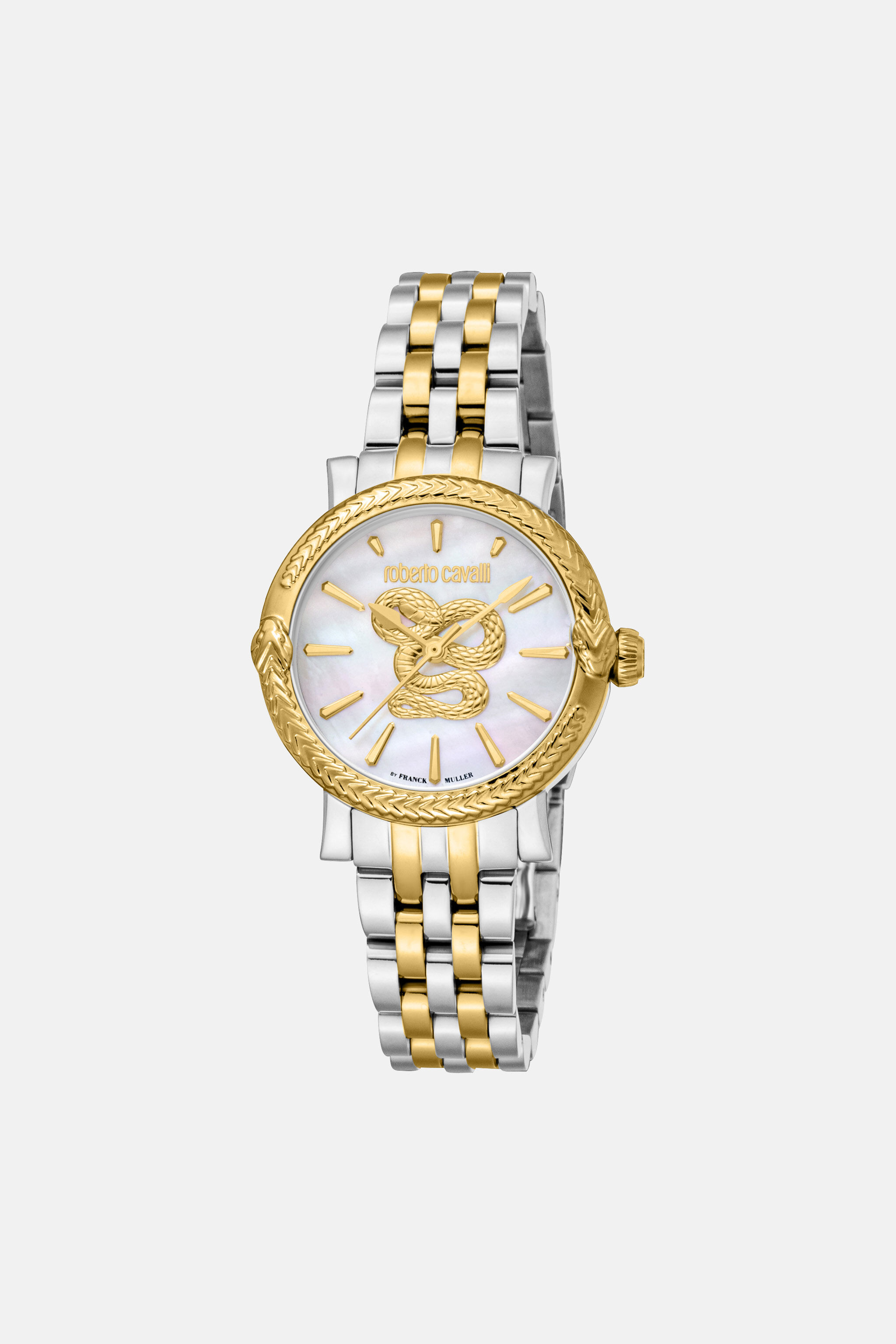 Roberto Cavalli by Franck Muller Snake watch in Silver/Gold for