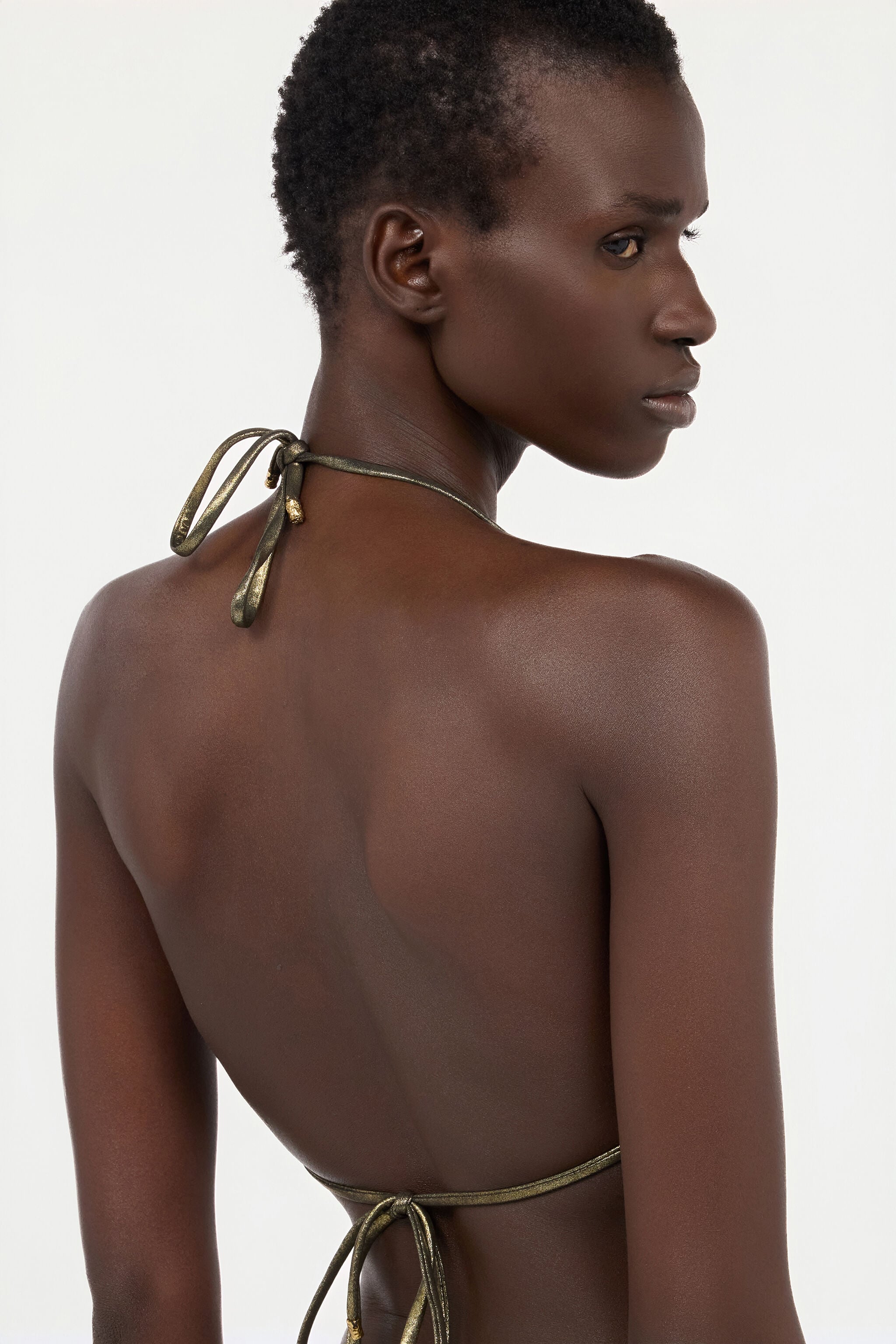Gold Bikini Top with Serpents in GOLD for Women | Roberto Cavalli®