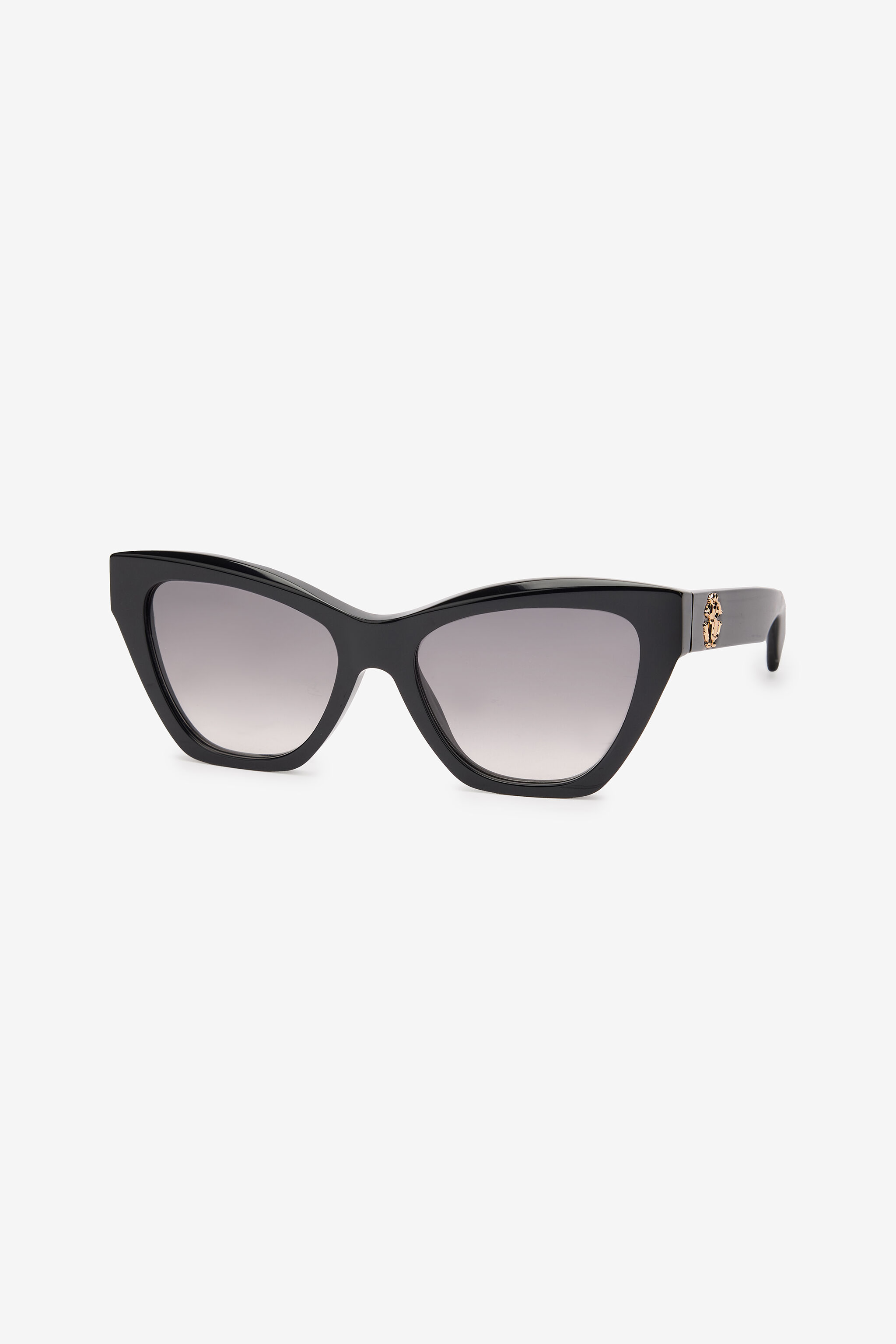 RC Sunglasses Roberto Cavalli RC Sunglasses Roberto Cavalli Black SALD44-ID155