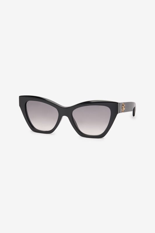 RC Sunglasses Roberto Cavalli RC Sunglasses Roberto Cavalli Black SALD44-ID155