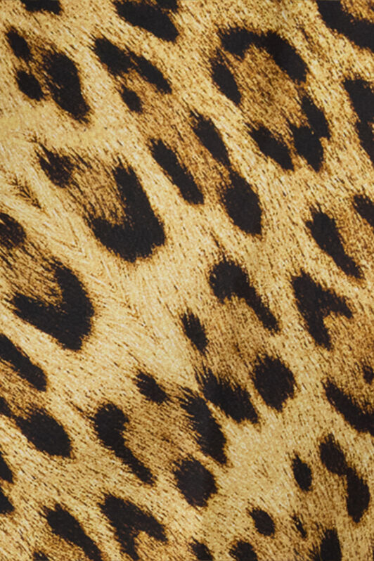 RC Silk Mini Dress With Jaguar Skin Print Brown VWT128-HZQ71