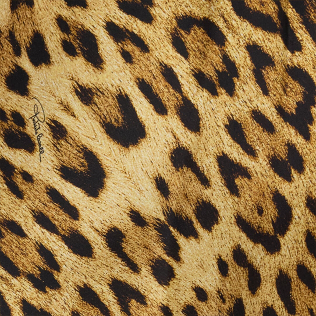RC Silk Mini Dress With Jaguar Skin Print Brown VWT128-HZQ71