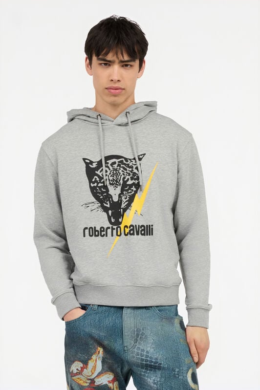 RC Graues Sweatshirt Mit Jaguar Und Blitz RC Graues Sweatshirt Mit Jaguar Und Blitz GREY POT69B-CF052