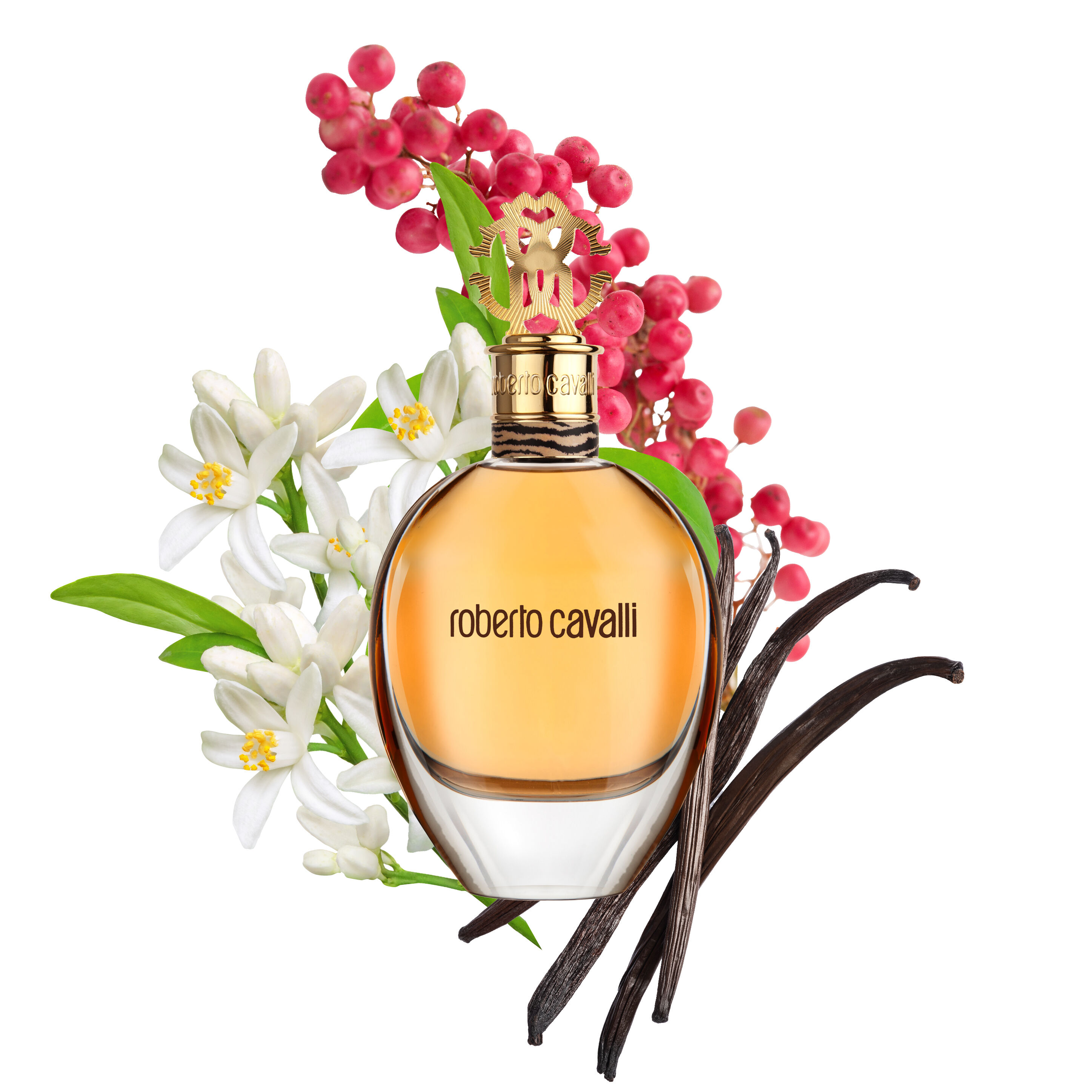 レア ★Roberto Cavalli 2002 EAU DE PARFUM Eau De Parfum 50 ml in Gold for Women | Roberto Cavalli®
