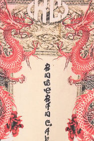 RC Mottled Effect T-Shirt With Dragons And Logo WHITE RED BLACK VNT62G-JD060