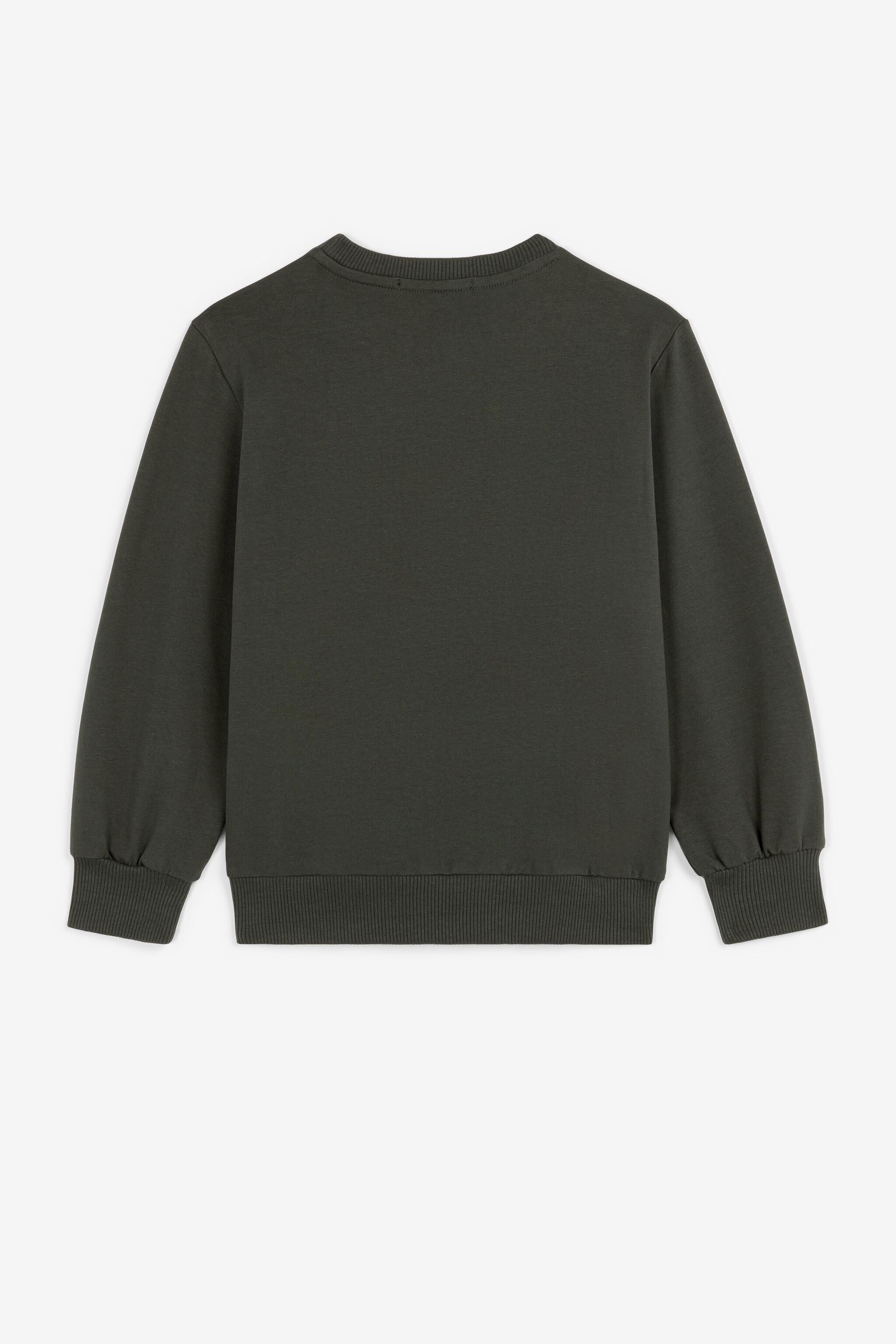 JU Tiger-Print Sweatshirt Dark green PJT975-CF050