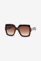 RC Sunglasses Roberto Cavalli Brown SALD42-ID153
