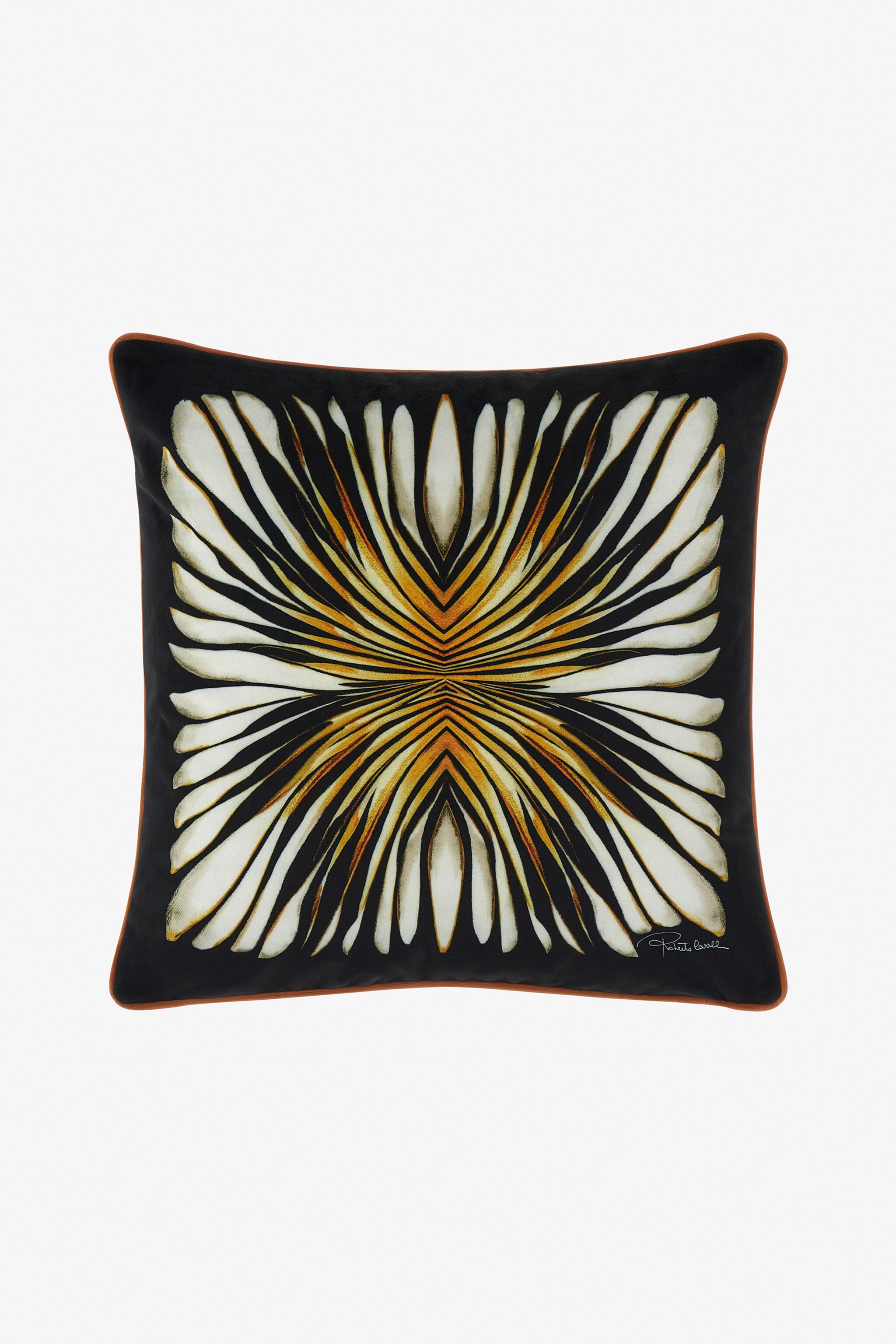 HO Cuscino Con Stampa Ray Of Gold HO Cuscino Con Stampa Ray Of Gold Oro SALM43-IM083