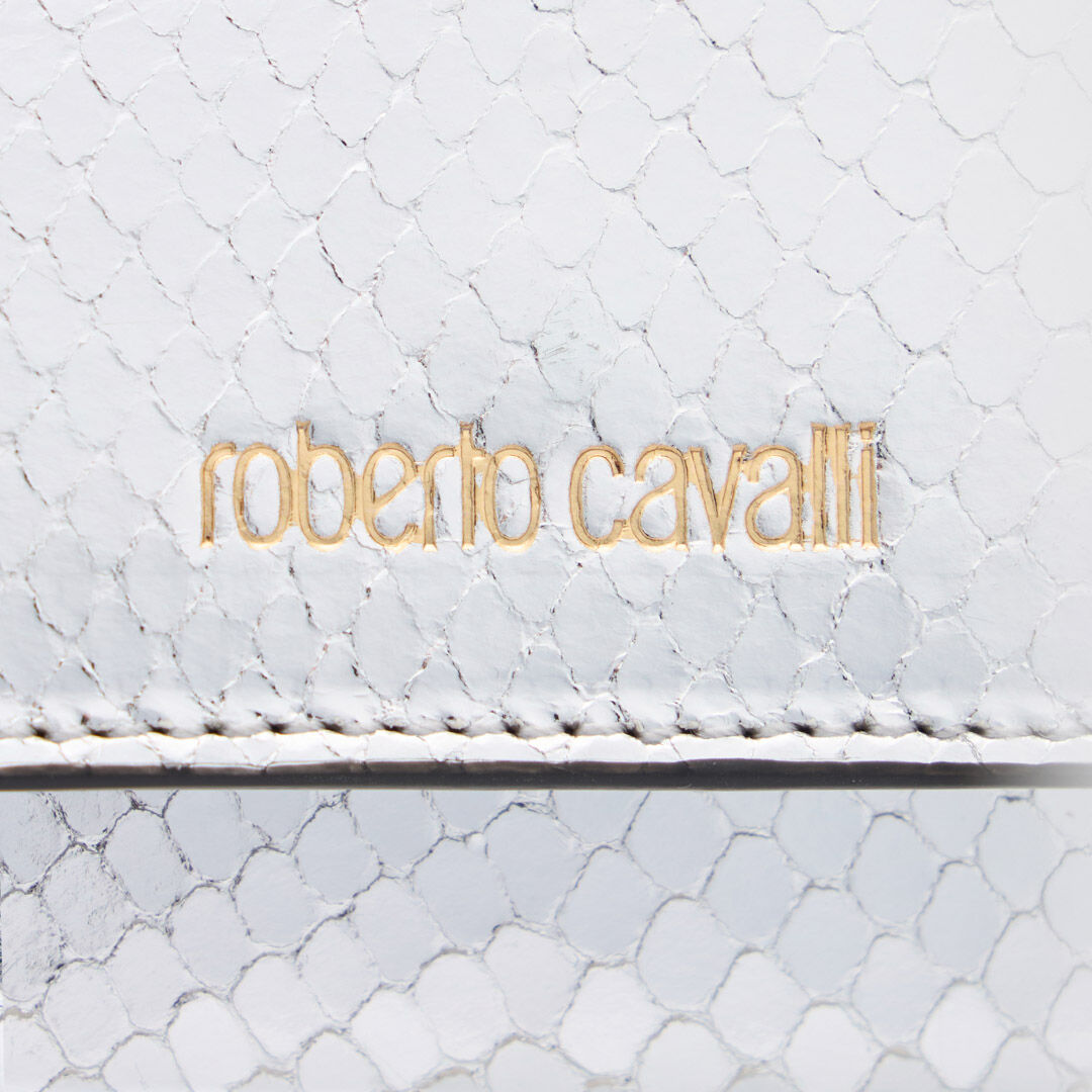 RC Laminated Cardholder with Snake Print RC Laminated Cardholder with Snake Print Silver TKA002-PZ579
