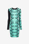 RC Python-Print Dress RC Python-Print Dress Light blue PKT10L-LNE38