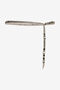 RC Cintura A Catena Serpentine Argento RC Cintura A Catena Serpentine Argento BLACK/PALLADIUM XWC002-AM011