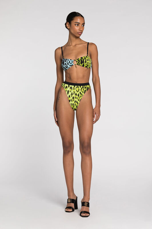RC Leopard-print bikini top Light green/Light blue QKW00I-LNF53