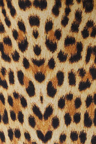 RC Leggings Stampa Baby Jaguar BROWN WQT23A-LNR31