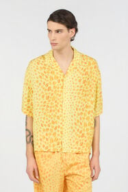 JC Camisa Estampado The Jaguar Kiss 644 POP CORN + 582 A WFM005-WF153