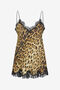 RC Robe Nuisette En Dentelle À Imprimé Léopard Roberto Cavalli RC Robe Nuisette En Dentelle À Imprimé Léopard Roberto Cavalli Marron VWT165-HZQ71