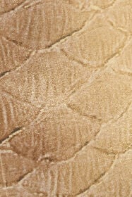 RC Golden Beige Bodysuit with Serpentine Print BEIGE/GOLD WWT604-OOS31