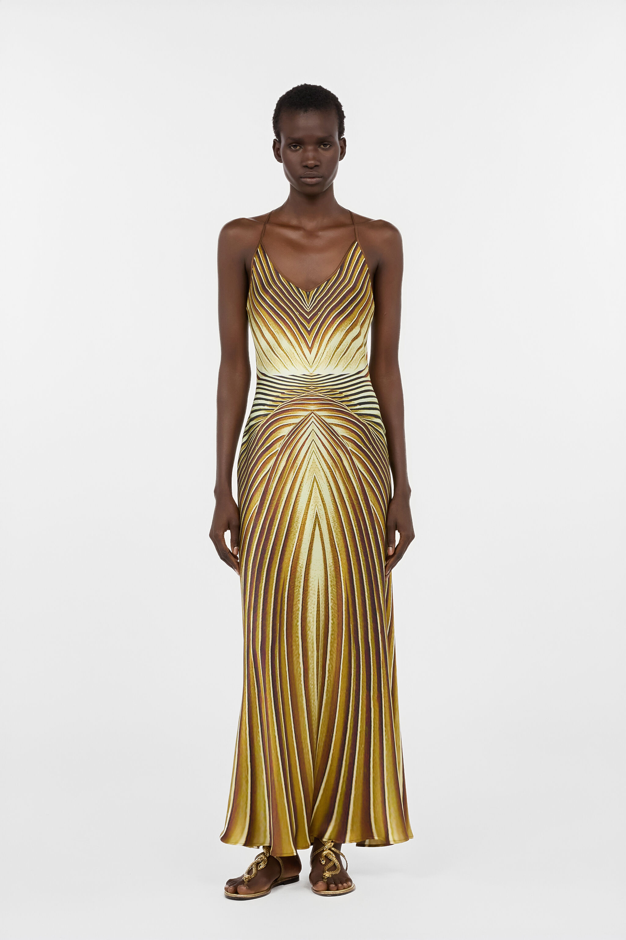 Long Silk Dress with Iside Print in SAHARA for Women | Roberto