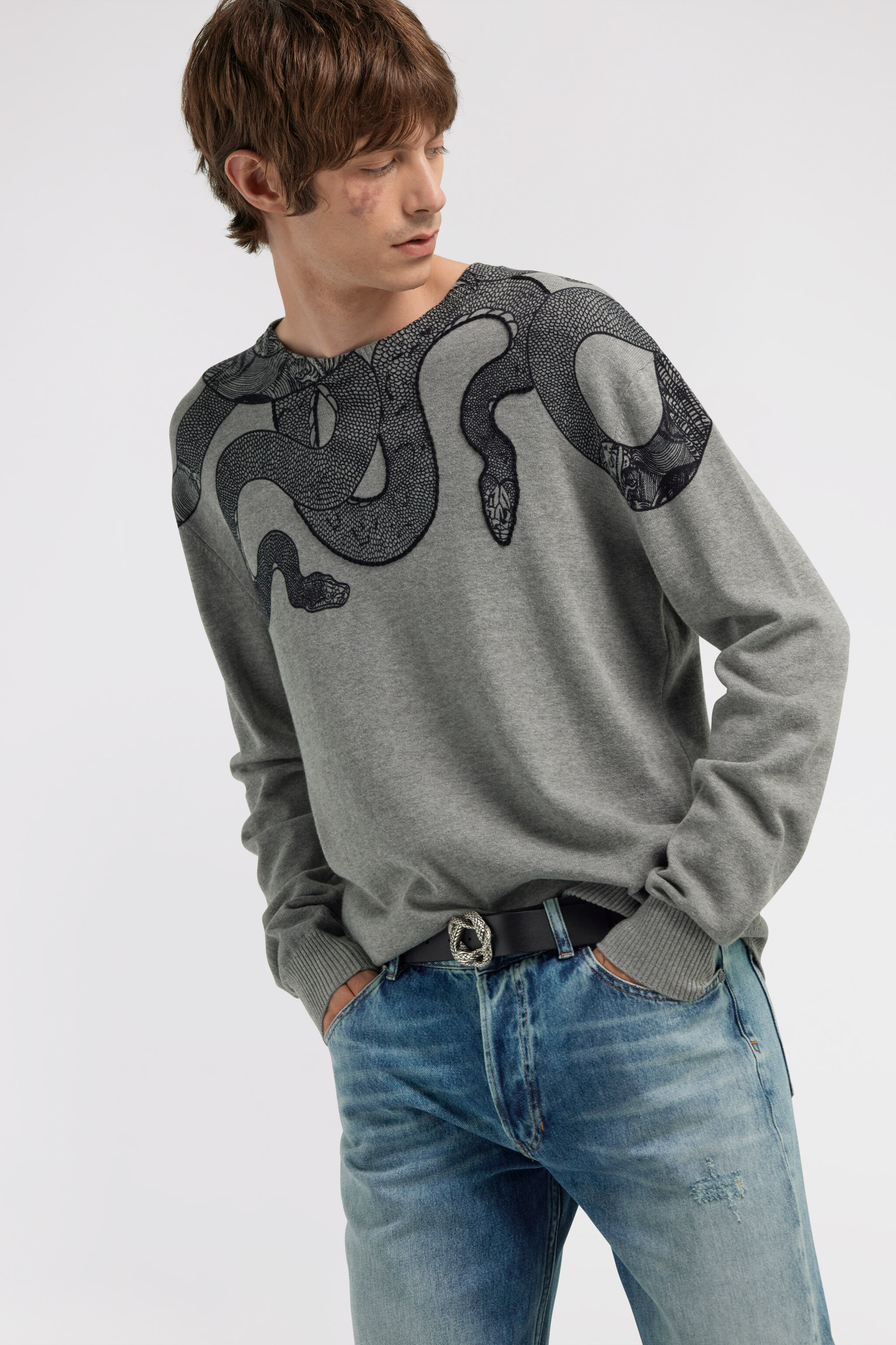 JC Just Cavalli crew neck sweater JC Just Cavalli crew neck sweater Gray TFM005-TF025
