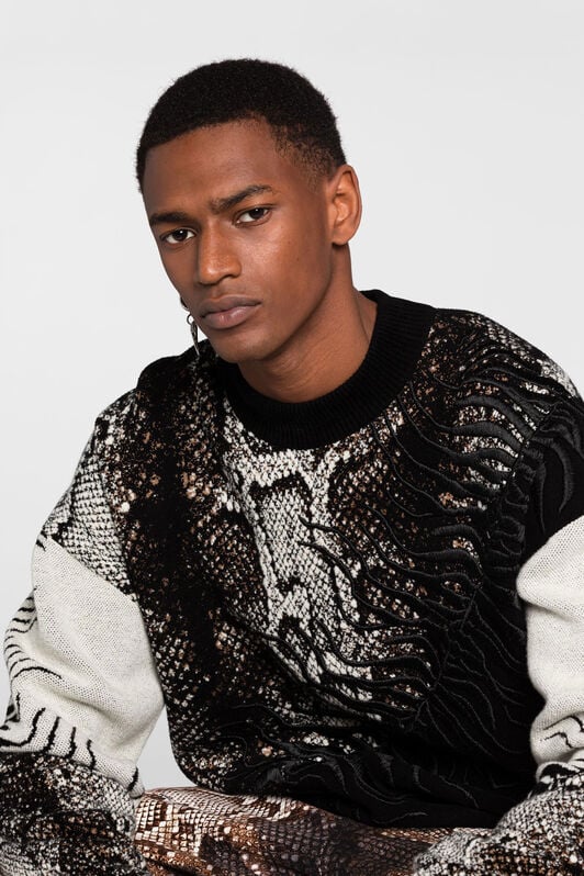 RC Embroidered Python-Jacquard Sweater RC Embroidered Python-Jacquard Sweater MULTICOLOR PNM610-MR001