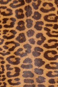 RC Leather Jacket With Leopard Skin Print Brown VKP400-ZV012