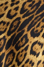 RC Silk Skirt With Jaguar Skin Print Brown VWT302-TYQ71