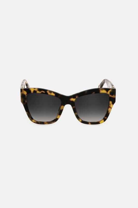 JC Sunglasses Just Cavalli JC Sunglasses Just Cavalli Dark brown RALD23-ID026