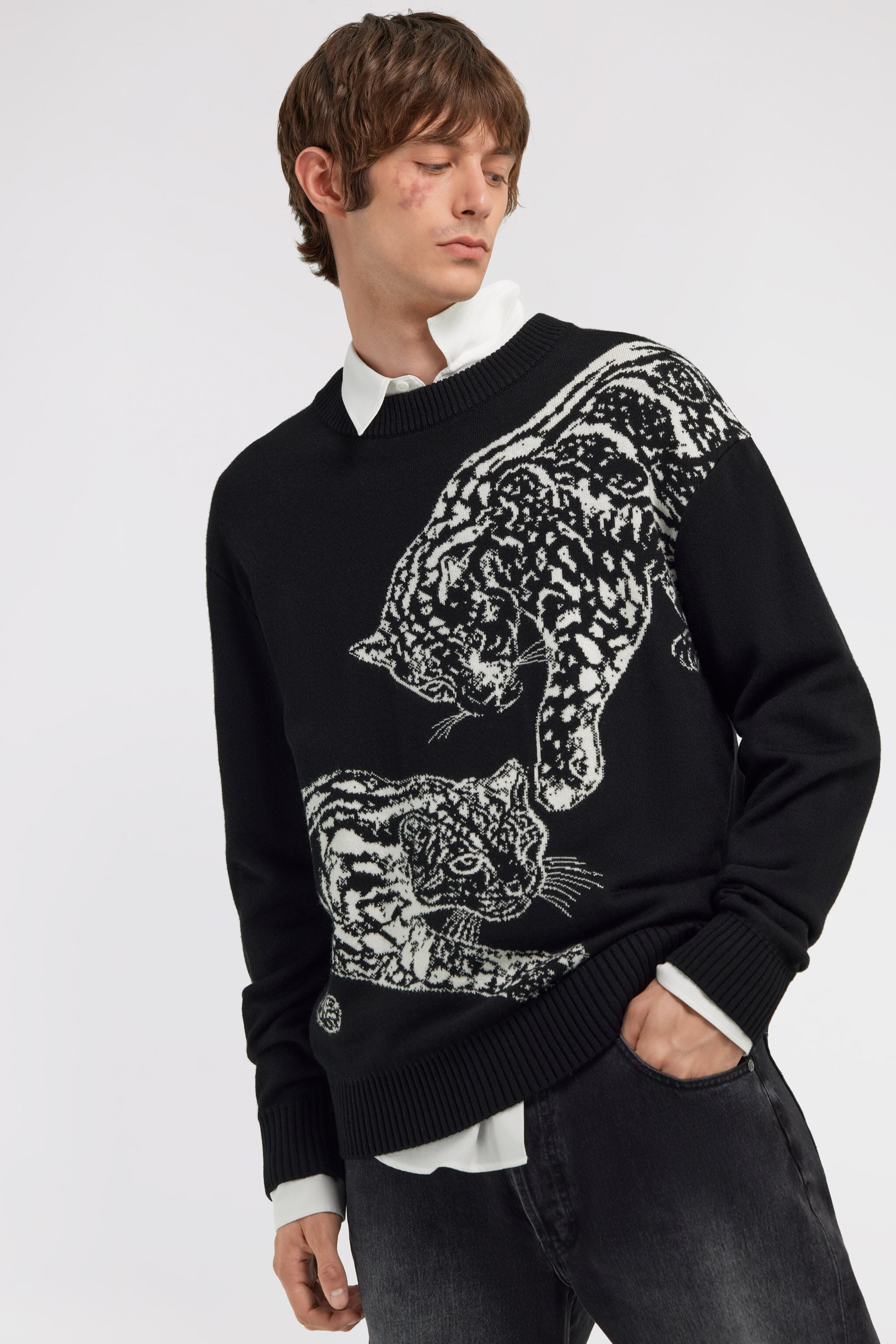 Just Cavalli crew neck sweater in Black for Men | Roberto Cavalli®
