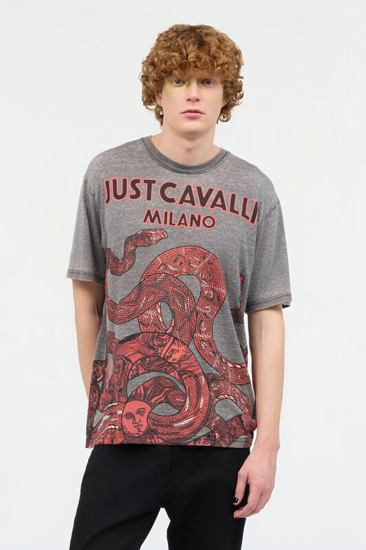 JC T-Shirt With Logo And Snakes JC T-Shirt With Logo And Snakes Gray UFT031-UF051