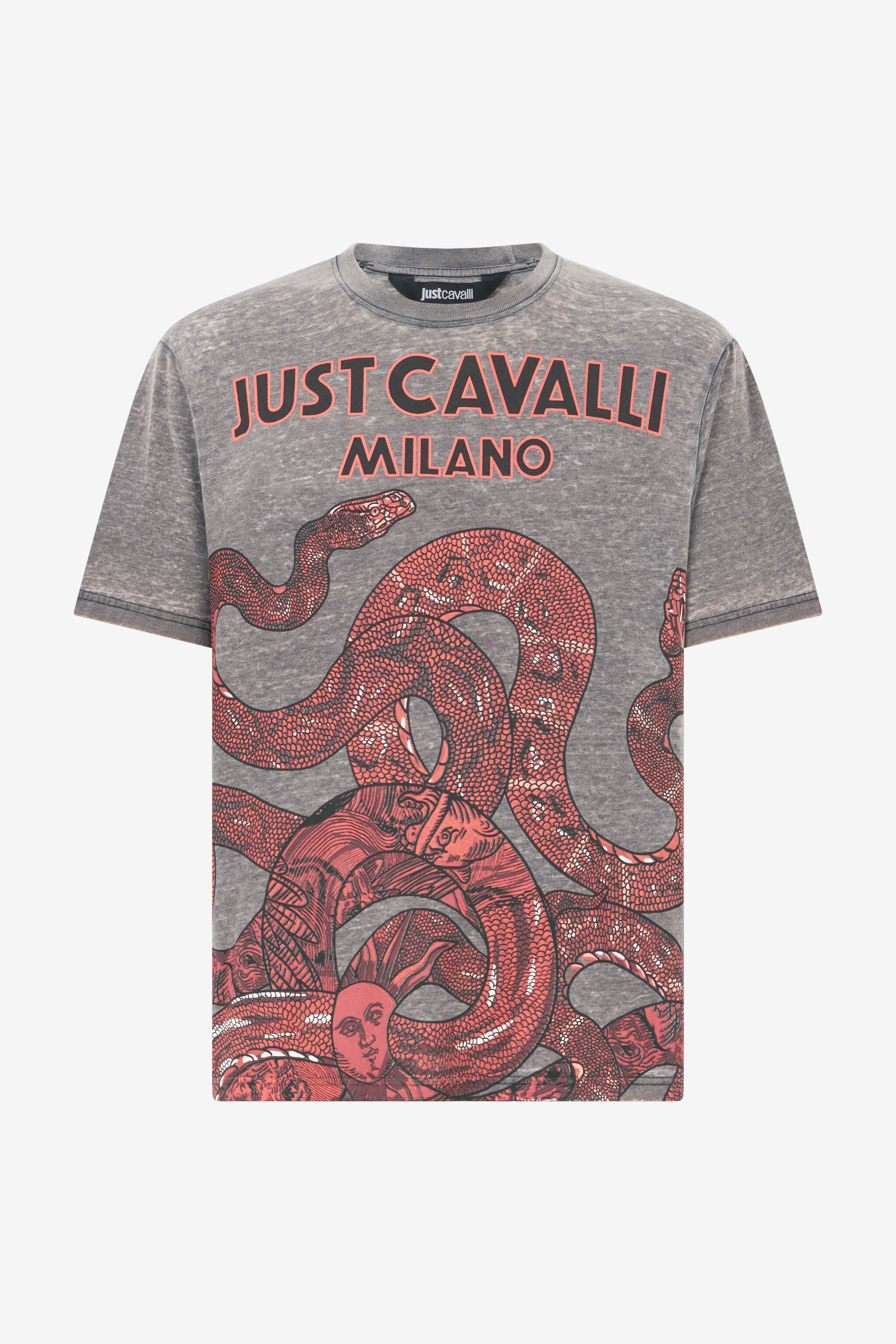 JC T-Shirt With Logo And Snakes JC T-Shirt With Logo And Snakes Gray UFT031-UF051
