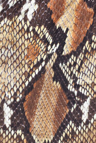 RC Python print midi dress Brown UWT137-LNN93