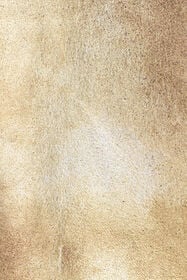 RC Gonna in Pelle Laminata Oro Oro UWP300-PN003