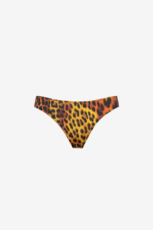 RC Jaguar-Print Bikini Briefs RC Jaguar-Print Bikini Briefs Orange OQW23C-HVD02