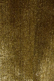 RC Gold Velvet Blazer LIGHT GOLD WKT405-FT062
