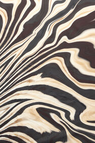 RC Zebra Print Scarf NATURAL/BLACK XQI008-OZT26