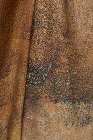 RC Caftan Beige Avec Fresque Imprimée Sur Twill De Soie Marron clair VWT181-OZQ74