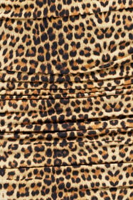 RC Mini Dress with Baby Jaguar Print and Cut-Out Detail BROWN WQT124-LNR31