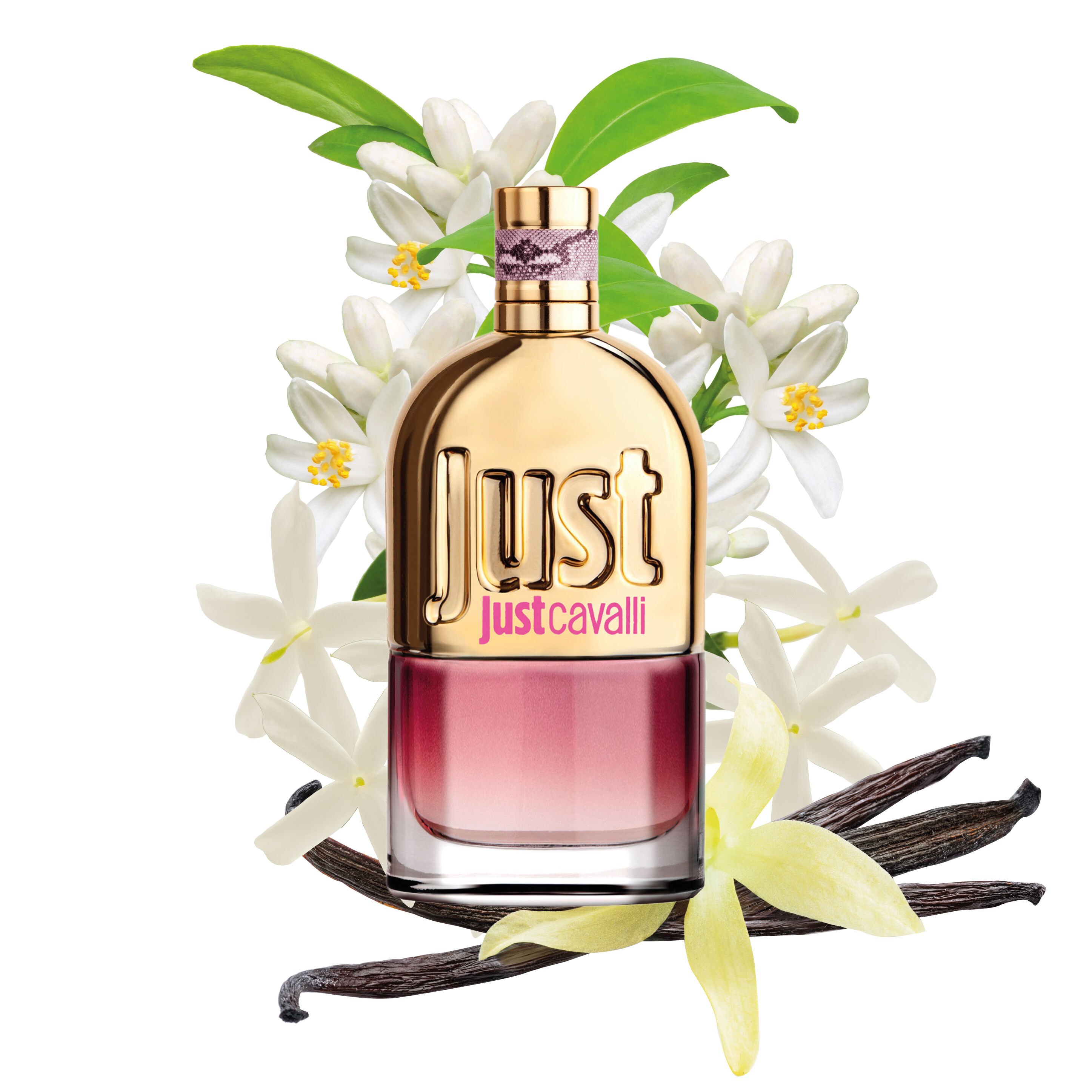 JUST CAVALLI FOR HER EAU DE TOILETTE 75 ML in Pink for Women
