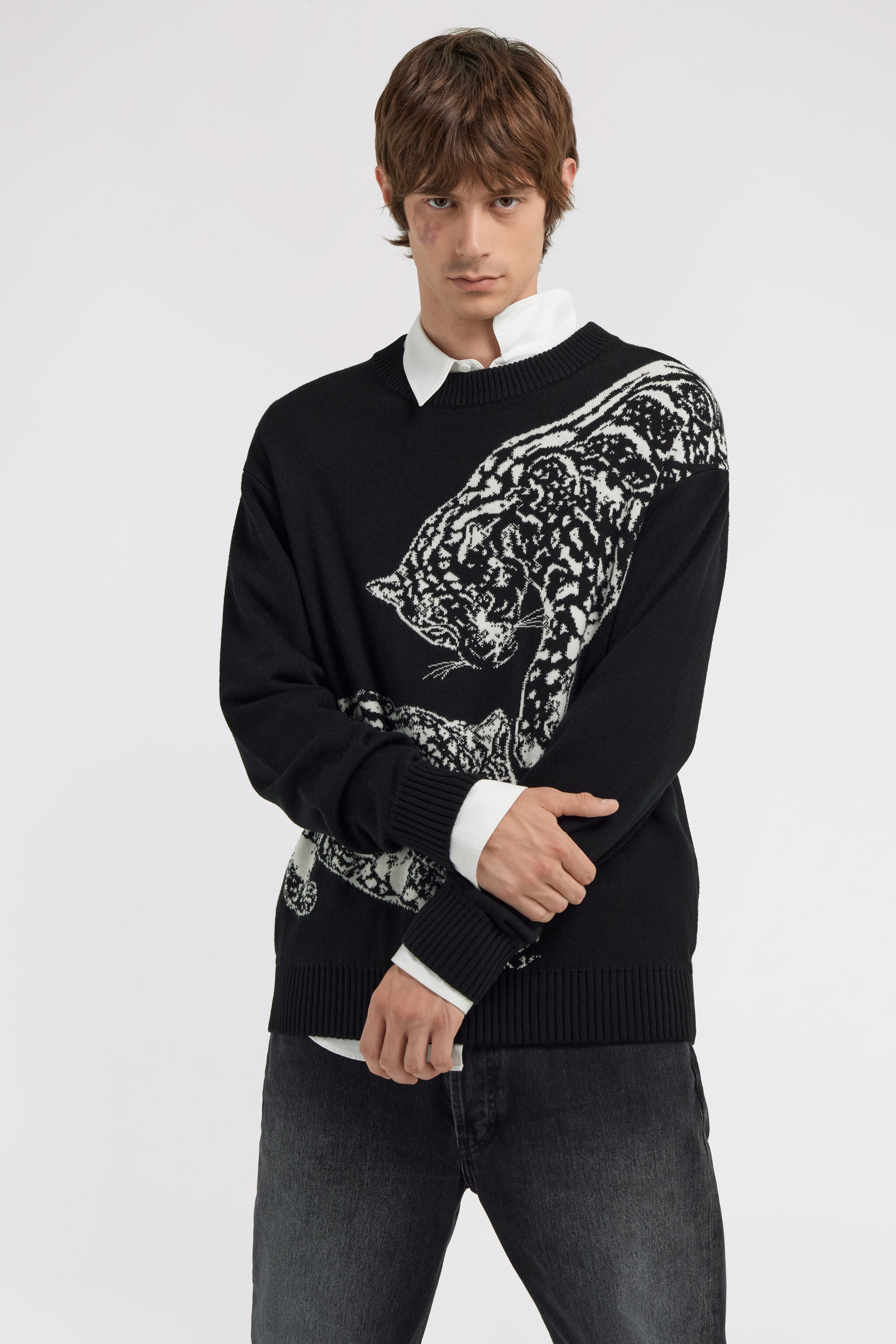 JC Just Cavalli crew neck sweater JC Just Cavalli crew neck sweater Black TFM007-TF027