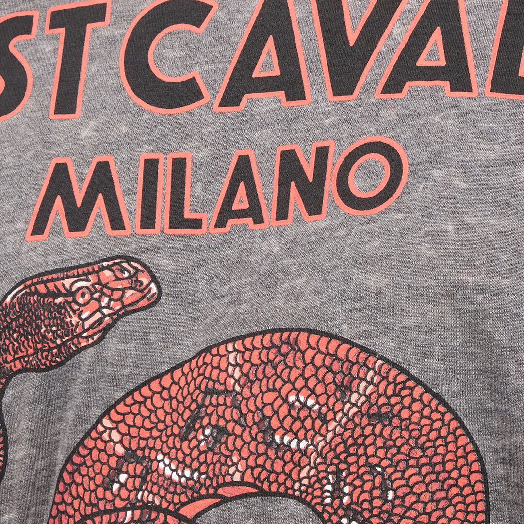 JC T-Shirt With Logo And Snakes JC T-Shirt With Logo And Snakes Gray UFT031-UF051