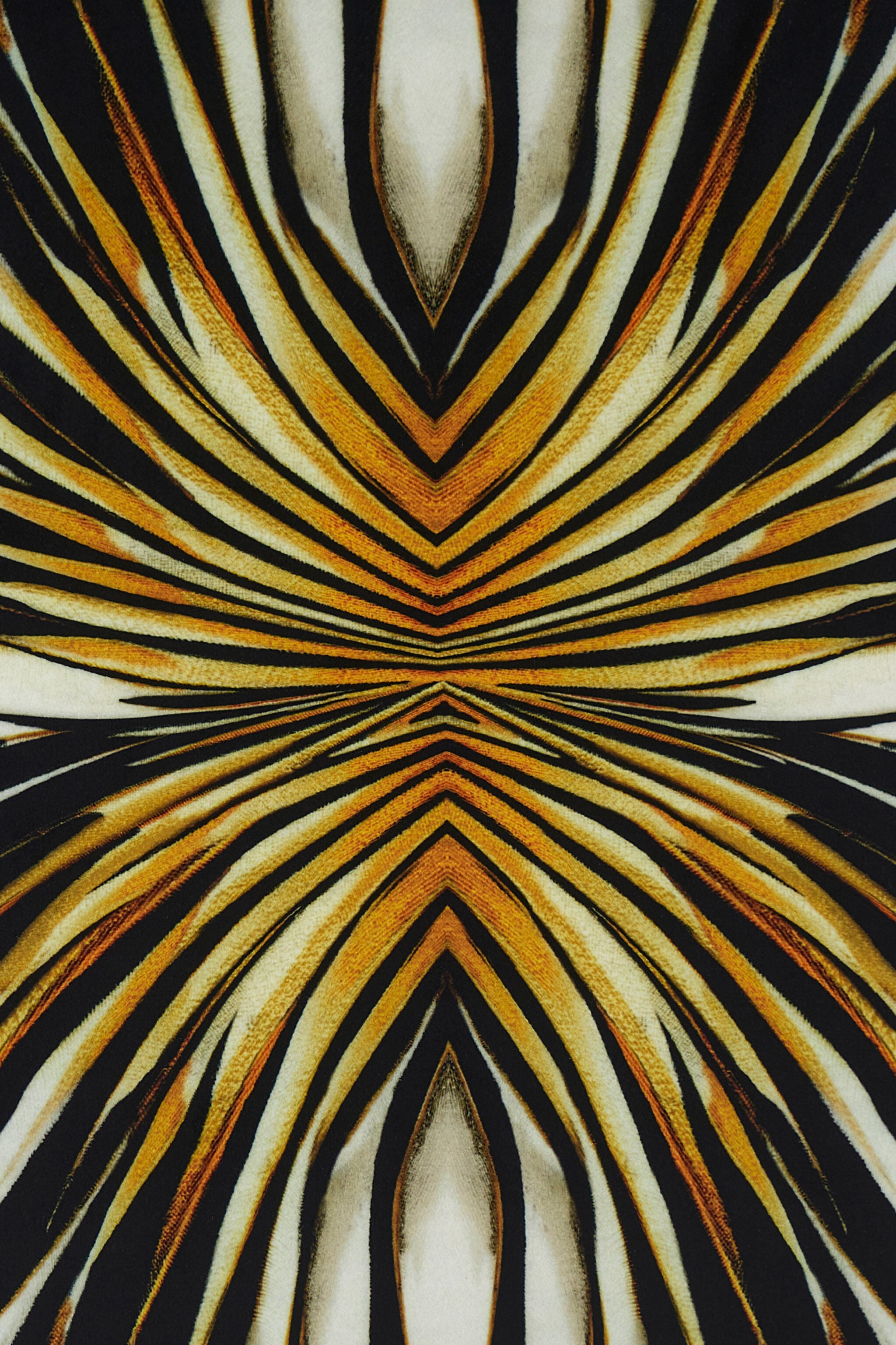 HO Cushion with Ray Of Gold Print HO Cushion with Ray Of Gold Print Gold SALM44-IM084