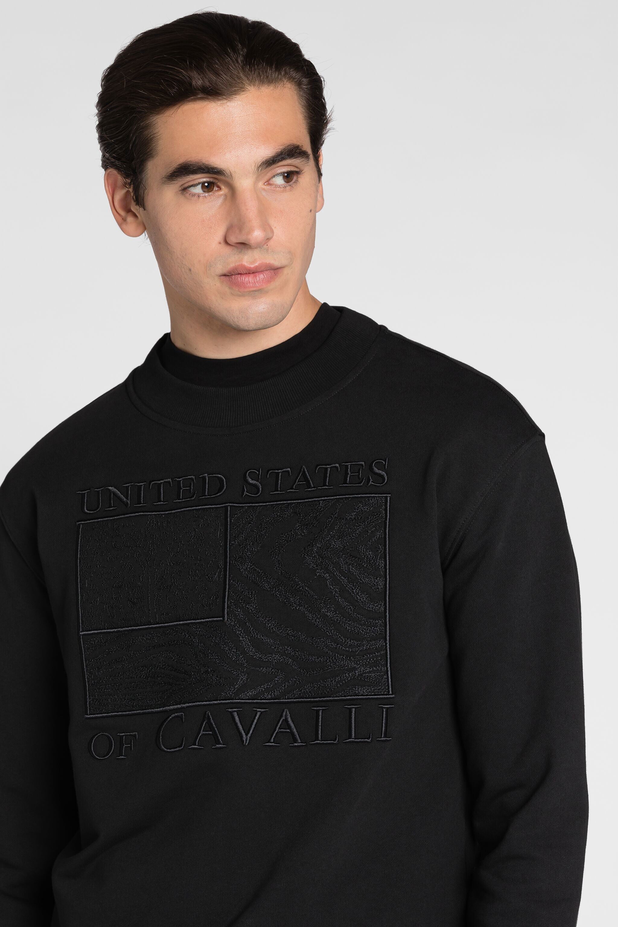 RC Sudadera con bordado Animalier Patchwork BLACK QRT68G-CF050