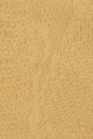 RC Pantalon À Imprimé Python Monochrome Marron clair UKT206-4NN53