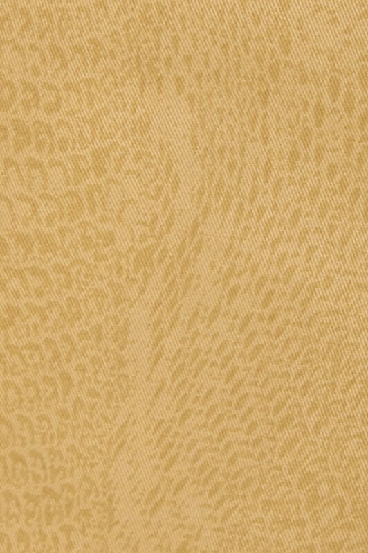 RC Pantaloni Con Stampa Pitone Monocromatica RC Pantaloni Con Stampa Pitone Monocromatica Marrone chiaro UKT206-4NN53