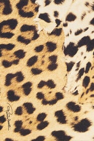 RC Cotton T-Shirt With Leopard Print Light brown VRT62B-3PH91