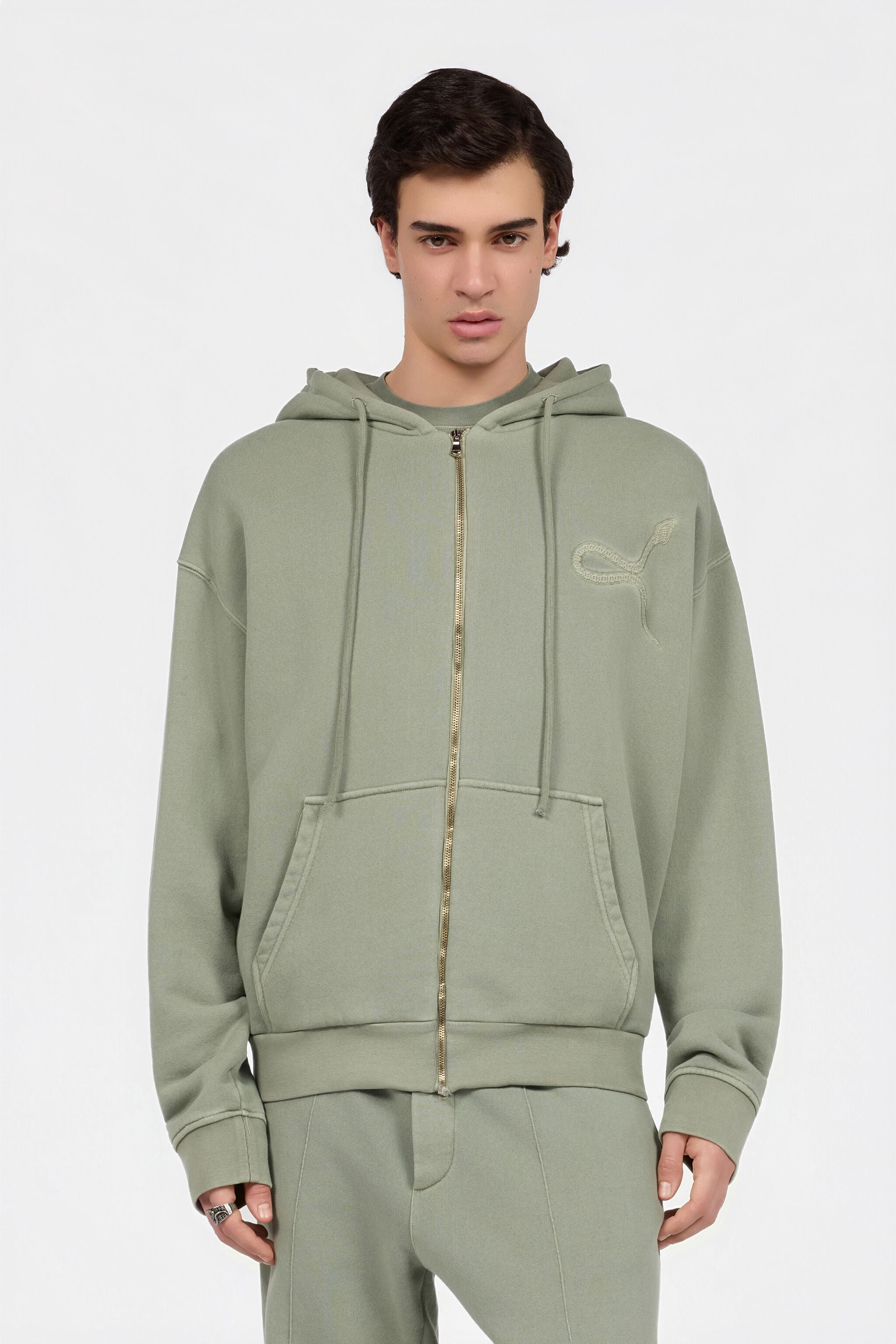 RC Sage Hoodie With Embroidered Snake RC Sage Hoodie With Embroidered Snake SAGE XNT69E-CF021