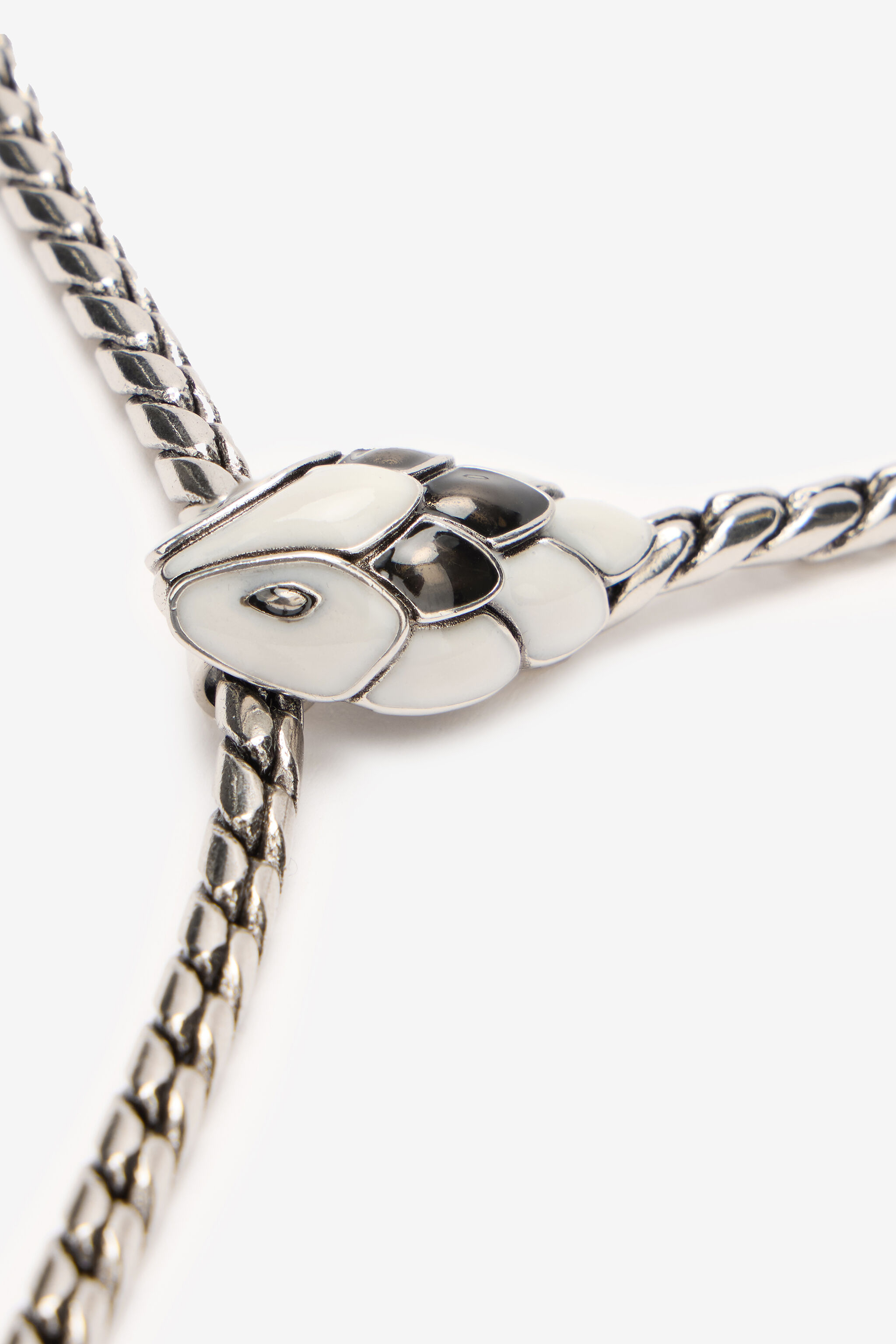 Snake And Fang Necklace in Silver for Men | Roberto Cavalli®