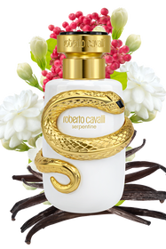RC Serpentine Parfum 100 ml RC Serpentine Parfum 100 ml GENERIC UALI15-II019