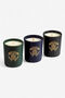 HO Gold Jungle Set of Three Scented Candles 80 G Multicolore TALA02-IA096