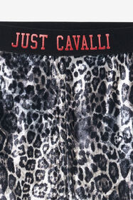 JC Leopard Print Leggings LEOPARD XFT20Y-2O003
